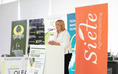 El calor pone en duda los primeros aforos de aceituna y aceite de oliva
