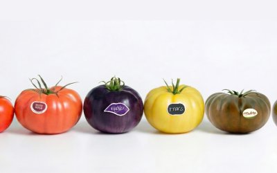 La marca La Palma reivindica la necesidad de escoger bien