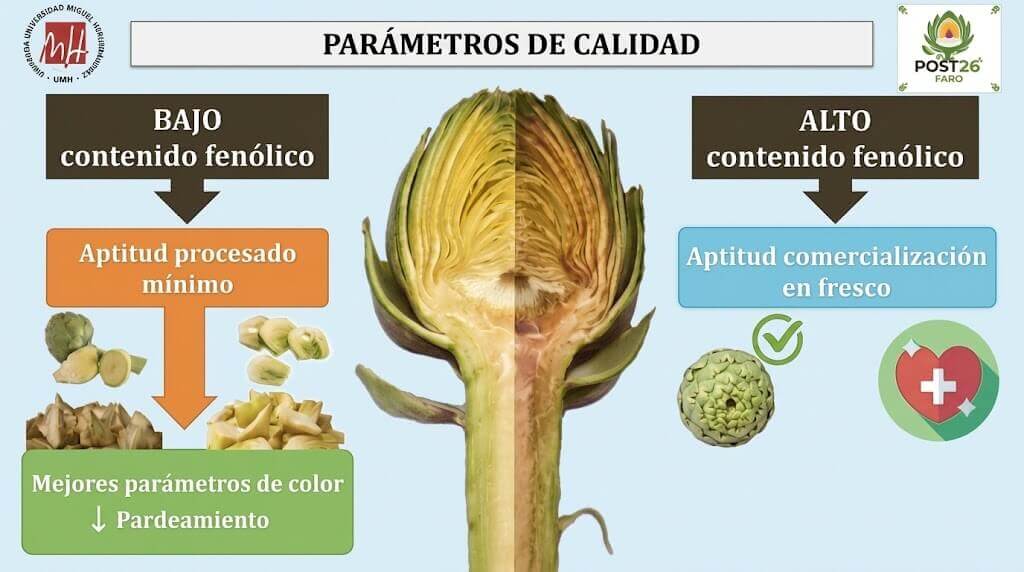 alcachofa-Post26