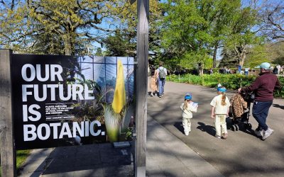 Los espacios verdes urbanos tienen efectos probados para combatir el aumento de las temperaturas