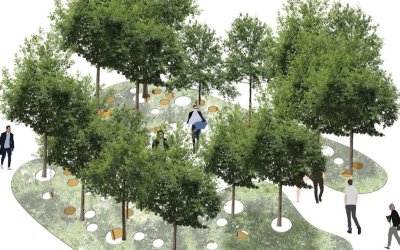 Iberflora recreará un paisaje mediterráneo con ‘Bosque infinito’