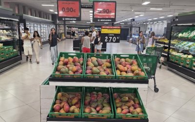 El mango gana presencia en los hogares españoles