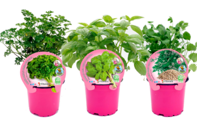 Corma amplía su oferta vegetal con Fitoralia