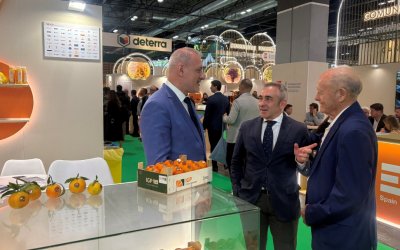 Cítricos Valencianos estudia ampliar su calendario de variedades