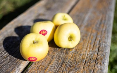 Yello® regresa al mercado con una nueva temporada de manzana premium