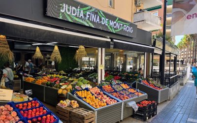 En la hortofruticultura menor cosecha, retos en cambio climático y récord de exportaciones